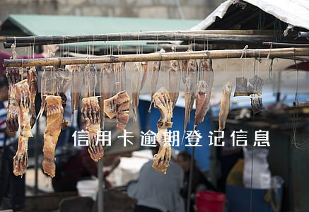 信用卡逾期登记信息 信用卡逾期登记信息