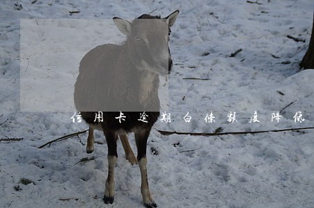 信用卡逾期白条额度降低 信用卡逾期白条额度降低