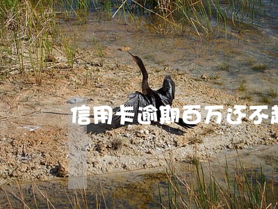 信用卡逾期百万还不起停止利息 信用卡逾期百万还不起停止利息