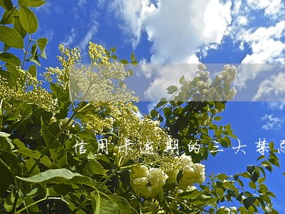 信用卡逾期的三大禁忌 信用卡逾期的三大禁忌