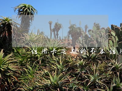 信用卡逾期的不良信用记录 信用卡逾期的不良信用记录