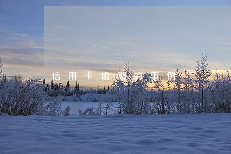 信用卡逾期的事例