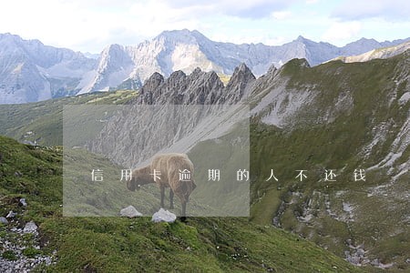 信用卡逾期的人不还钱 信用卡逾期的人不还钱
