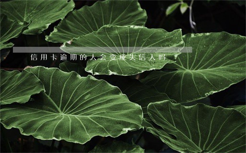 信用卡逾期的人会变成失信人吗 信用卡逾期的人会变成失信人吗
