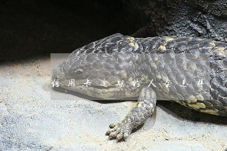 信用卡逾期的人会怎样 信用卡逾期的人会怎样