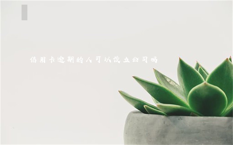 信用卡逾期的人可以设立公司吗