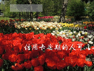 信用卡逾期的人可以过户吗