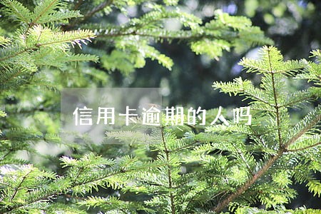 信用卡逾期的人吗 信用卡逾期的人吗