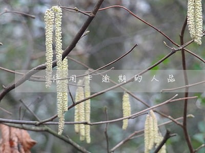 信用卡逾期的人品 信用卡逾期的人品