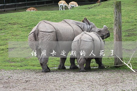 信用卡逾期的人死了 信用卡逾期的人死了