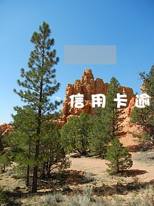信用卡逾期的人能不能按揭车位 信用卡逾期的人能不能按揭车位