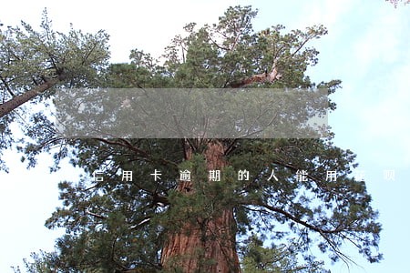 信用卡逾期的人能用花呗吗 信用卡逾期的人能用花呗吗