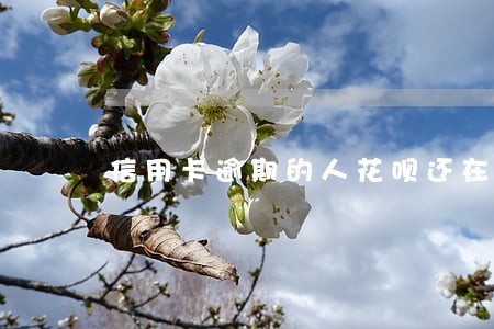 信用卡逾期的人花呗还在用吗 信用卡逾期的人花呗还在用吗
