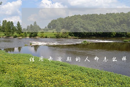 信用卡逾期的人都怎么样了 信用卡逾期的人都怎么样了