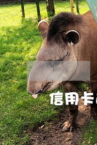 信用卡逾期的信息提醒 信用卡逾期的信息提醒