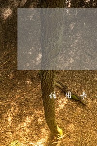 信用卡逾期的几种类型