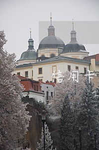 信用卡逾期的分期计划是什么 信用卡逾期的分期计划是什么