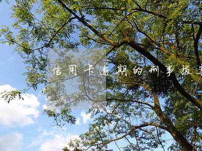 信用卡逾期的刑事报案通知 信用卡逾期的刑事报案通知