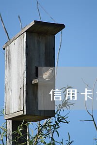 信用卡逾期的判决书