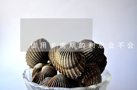 信用卡逾期的利息会不会封顶 信用卡逾期的利息会不会封顶