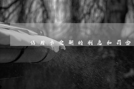 信用卡逾期的利息和罚金 信用卡逾期的利息和罚金