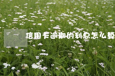信用卡逾期的利息怎么算利息 信用卡逾期的利息怎么算利息