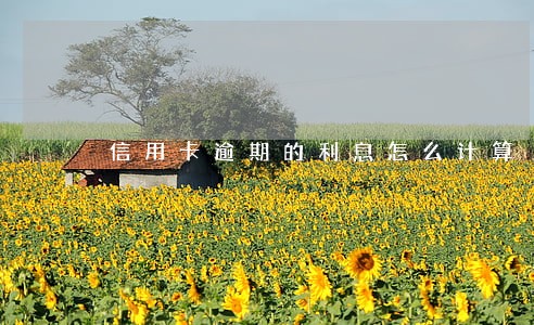 信用卡逾期的利息怎么计算 信用卡逾期的利息怎么计算