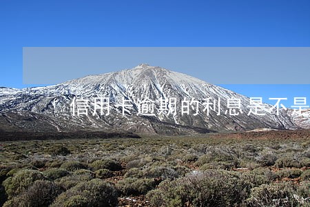 信用卡逾期的利息是不是很高