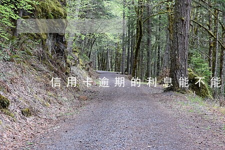 信用卡逾期的利息能不能不还 信用卡逾期的利息能不能不还