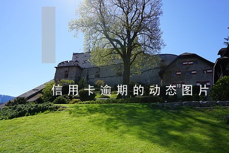 信用卡逾期的动态图片 信用卡逾期的动态图片