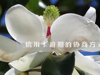 信用卡逾期的协商方式