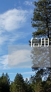 信用卡逾期的原因有哪些 信用卡逾期的原因有哪些