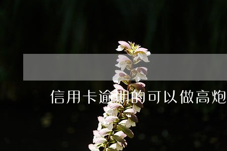信用卡逾期的可以做高炮么 信用卡逾期的可以做高炮么