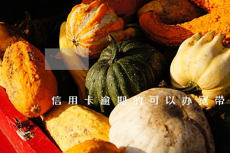 信用卡逾期的可以办宽带吗 信用卡逾期的可以办宽带吗