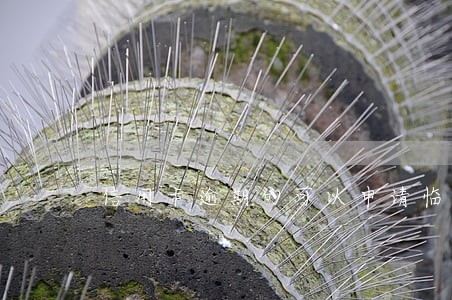 信用卡逾期的可以申请临时额度 信用卡逾期的可以申请临时额度