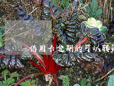 信用卡逾期的可以转账吗 信用卡逾期的可以转账吗