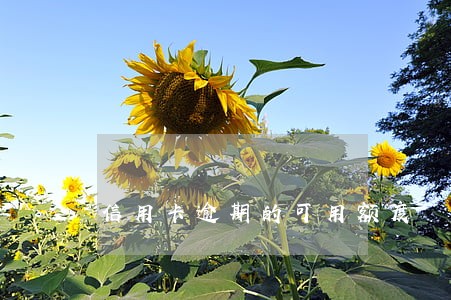 信用卡逾期的可用额度 信用卡逾期的可用额度