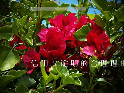 信用卡逾期的合理理由 信用卡逾期的合理理由