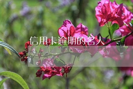 信用卡逾期的名人 信用卡逾期的名人