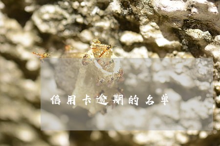 信用卡逾期的名单