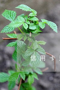 信用卡逾期的后果你知道有哪些吗