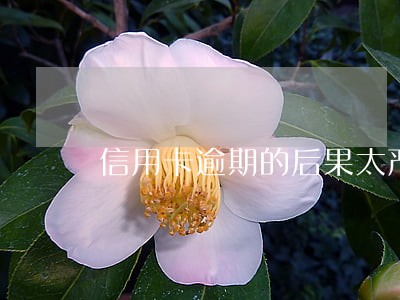 信用卡逾期的后果太严重 信用卡逾期的后果太严重