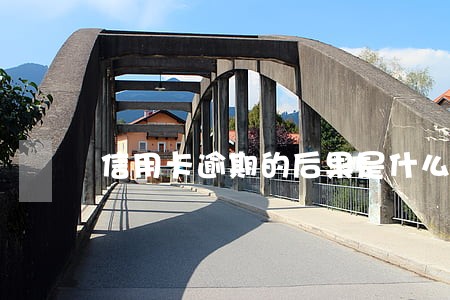信用卡逾期的后果是什么啊 信用卡逾期的后果是什么啊