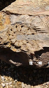 信用卡逾期的后果解决 信用卡逾期的后果解决