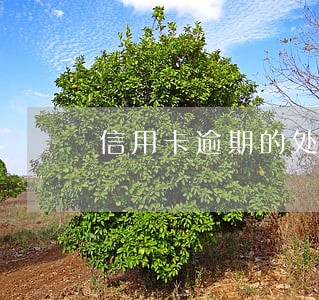 信用卡逾期的处理步骤 信用卡逾期的处理步骤