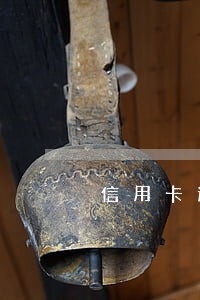 信用卡逾期的处罚上海 信用卡逾期的处罚上海