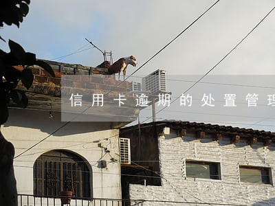 信用卡逾期的处置管理办法 信用卡逾期的处置管理办法