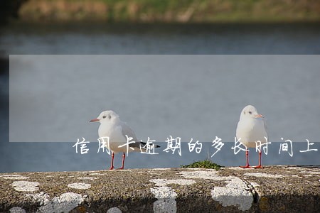 信用卡逾期的多长时间上征信