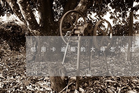 信用卡逾期的大神怎么应对 信用卡逾期的大神怎么应对