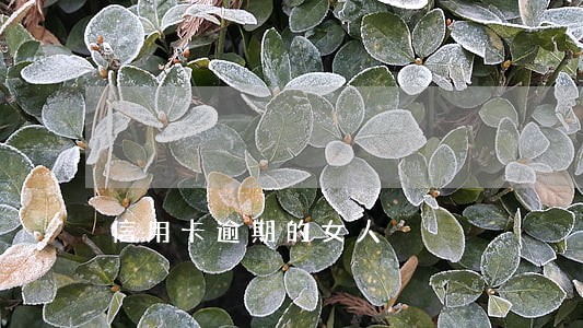 信用卡逾期的女人